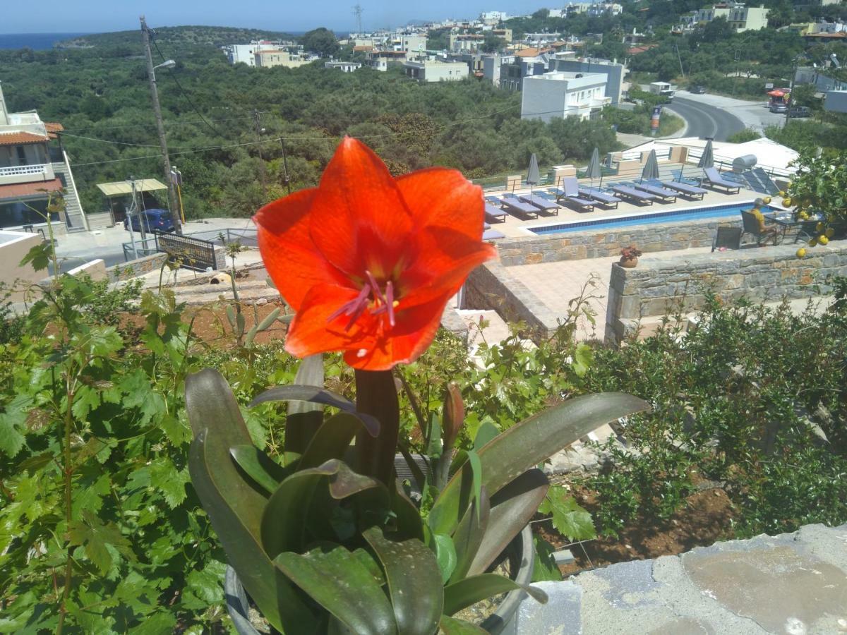 Kavousanos Apartments Istron Dış mekan fotoğraf